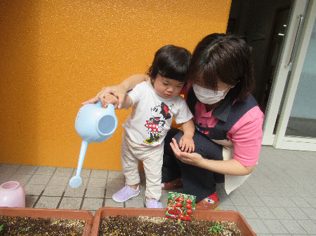 ニチイキッズ東住吉保育園(保育士の求人)の写真: