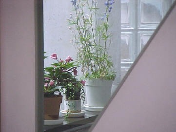 加藤歯科医院の写真1枚目：