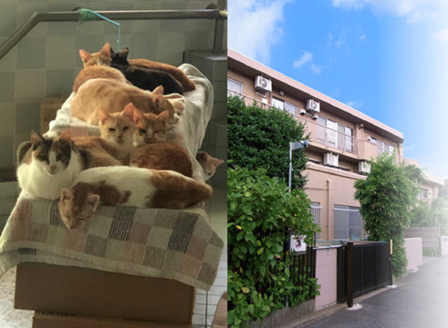 特別養護老人ホーム みかど荘(管理栄養士/栄養士の求人)の写真: