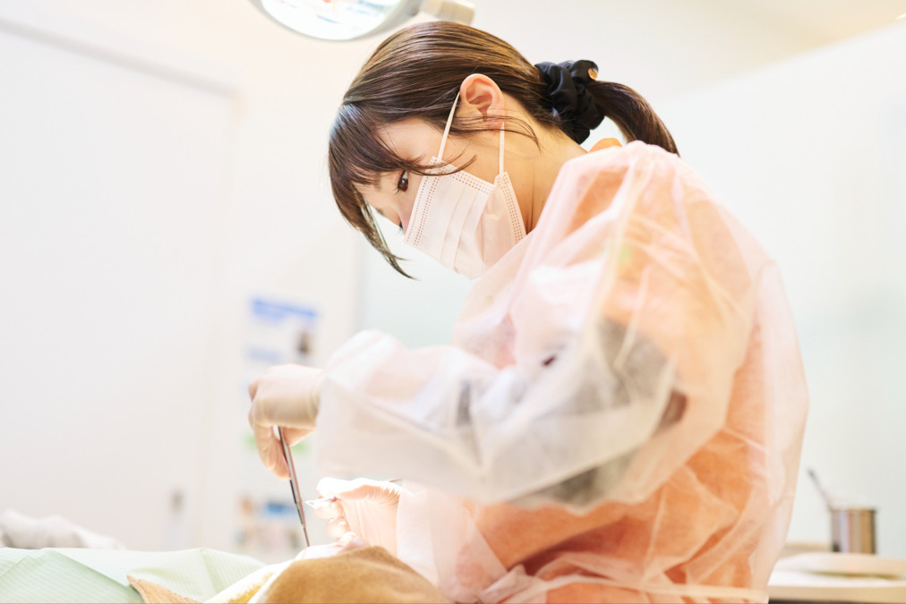 医療法人社団健美会　いわいグリーン歯科・矯正歯科（歯科衛生士の求人）の写真5枚目：