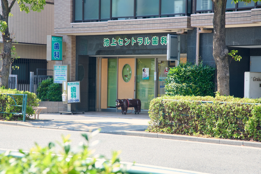 池上セントラル歯科（歯科助手の求人）の写真9枚目：