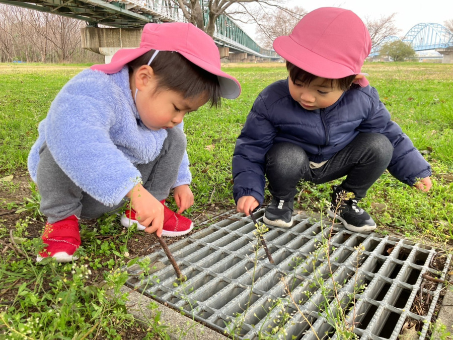 フェアリーガーデン 天六園の画像