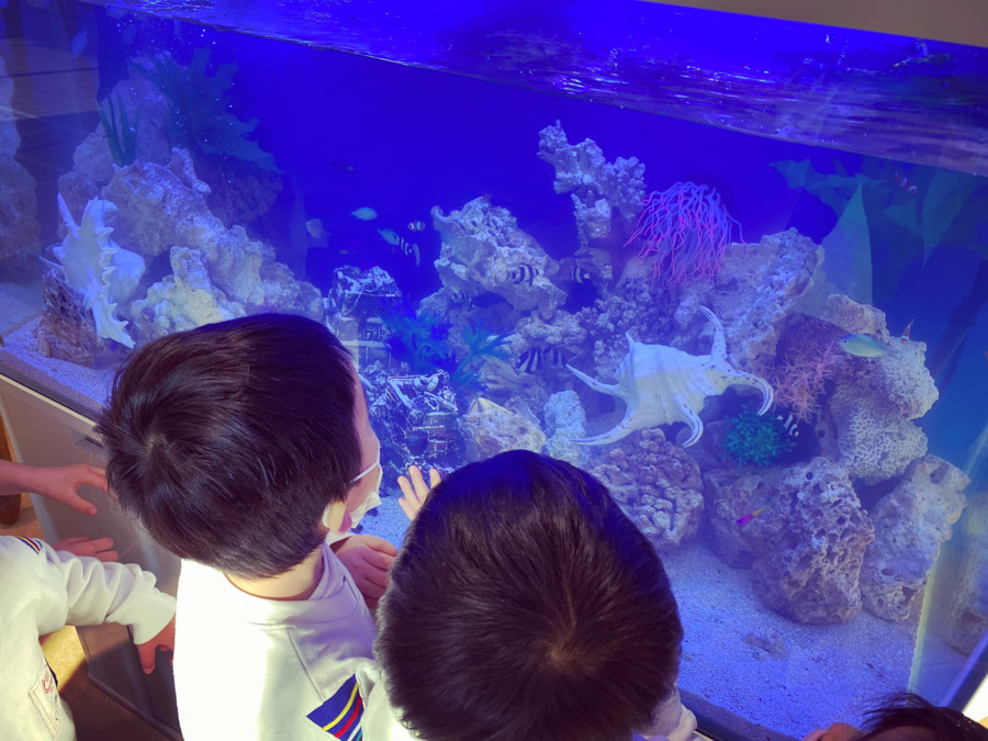 東村山むさしの第1認定こども園の写真30枚目：