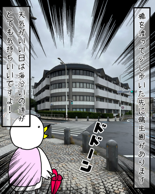 鵠生園デイサービスセンター（介護職/ヘルパーの求人）の写真9枚目：