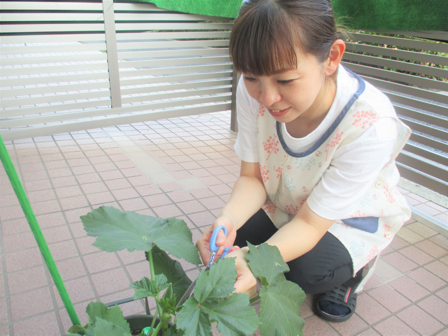 南行徳せいわ保育園（保育士の求人）の写真3枚目：