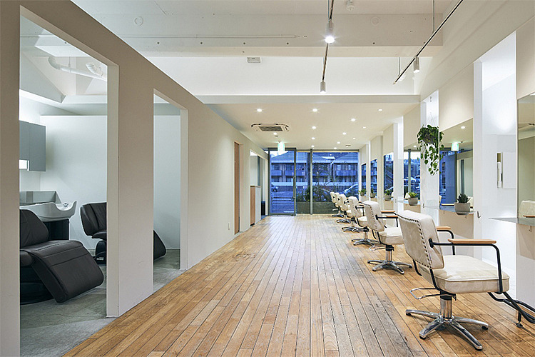 branch hairの写真