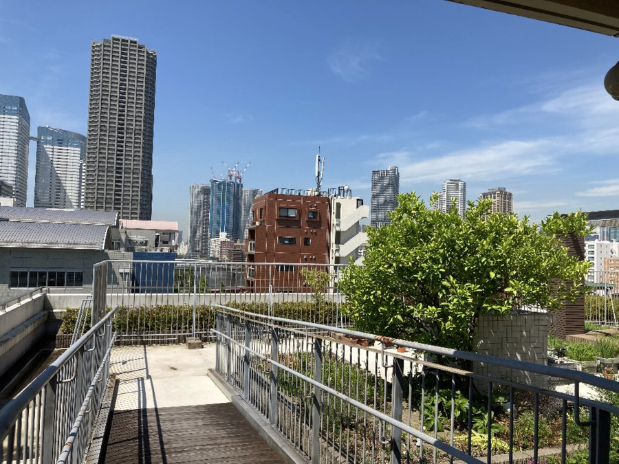デイサービス晴海苑(介護職/ヘルパーの求人)の写真4枚目:屋上は空中庭園となっております。