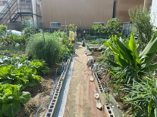 生活介護 かしの樹(生活支援員の求人)の写真7枚目: