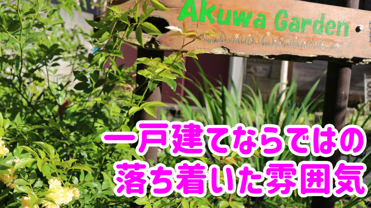 デイサービスセンター陽と花（介護職/ヘルパーの求人）の写真5枚目：