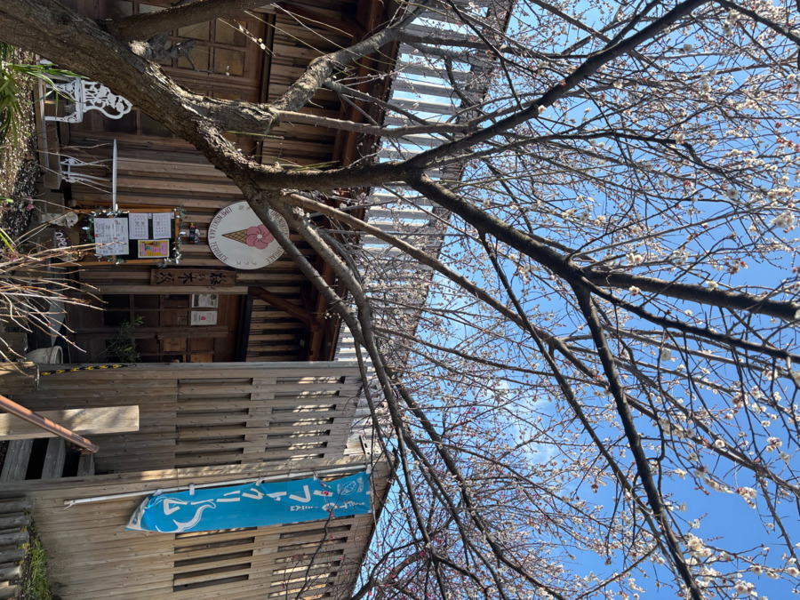 就労支援B型事業所　カフェ梅の木坂テラスの写真