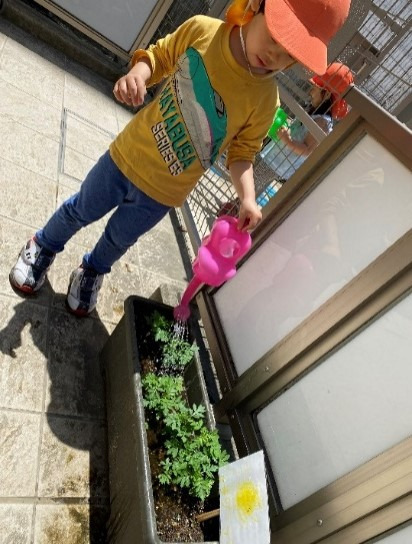 ほっぺるランド渋谷の写真3枚目：