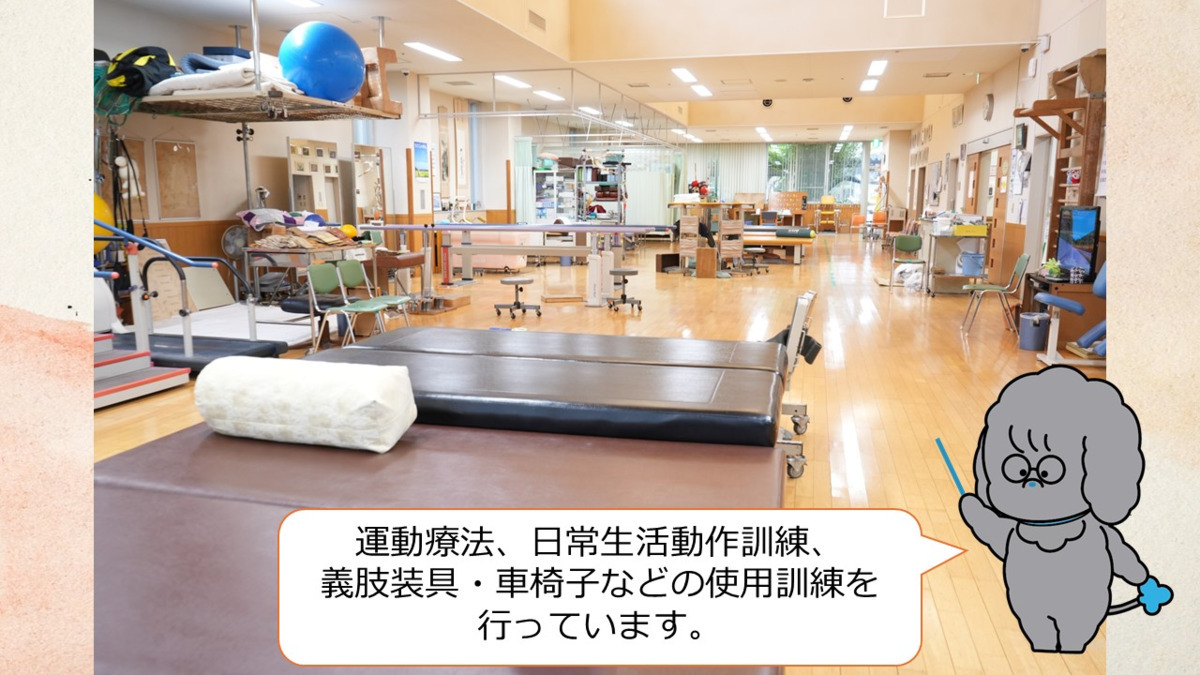 タムス杉並病院【2025年07月01日オープン】（理学療法士の求人）の写真3枚目：