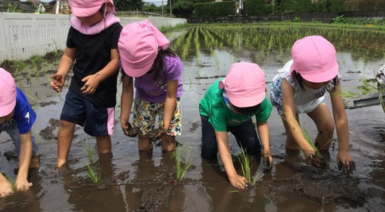 幼保連携型認定こども園　西出水認定こども園（保育士の求人）の写真5枚目：