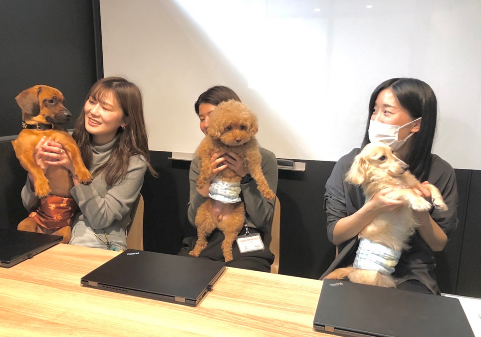 【足立区】　相談支援事業所（仮称）【2025年09月01日オープン予定】の写真2枚目：
