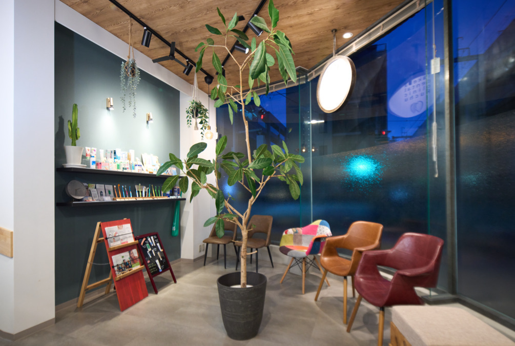 TakeDaデンタルクリニック府中（歯科助手の求人）の写真4枚目：シンボルツリーのロイちゃんです！一緒によろしくお願いします！