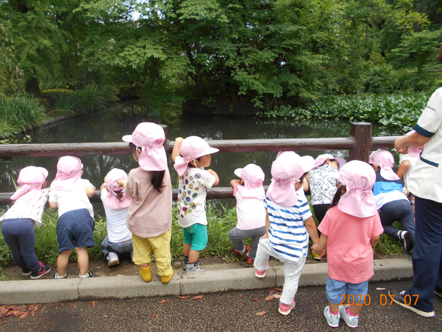 由井さゆり学園の写真3枚目：