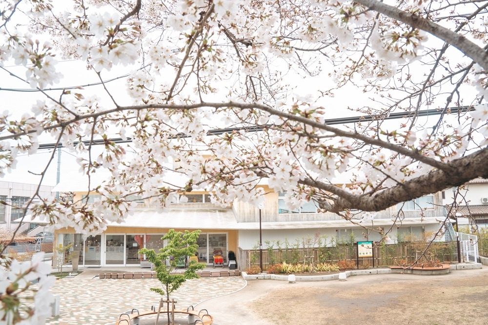 碑文谷もみじの森保育園（保育士の求人）の写真2枚目：