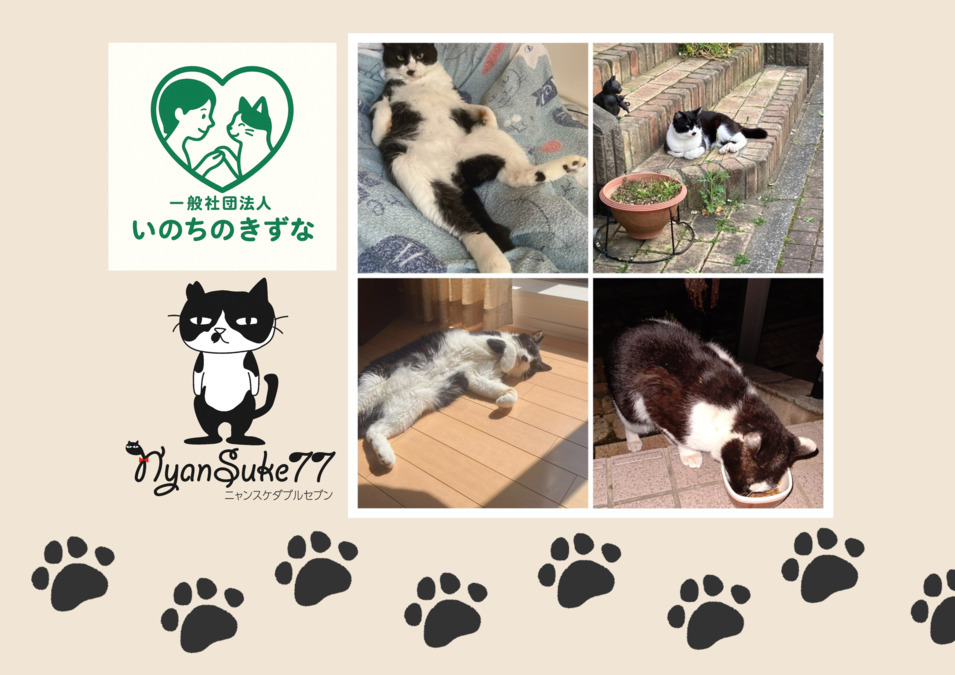 就労継続支援B型事業所にゃんず・ふぁくとりーの画像