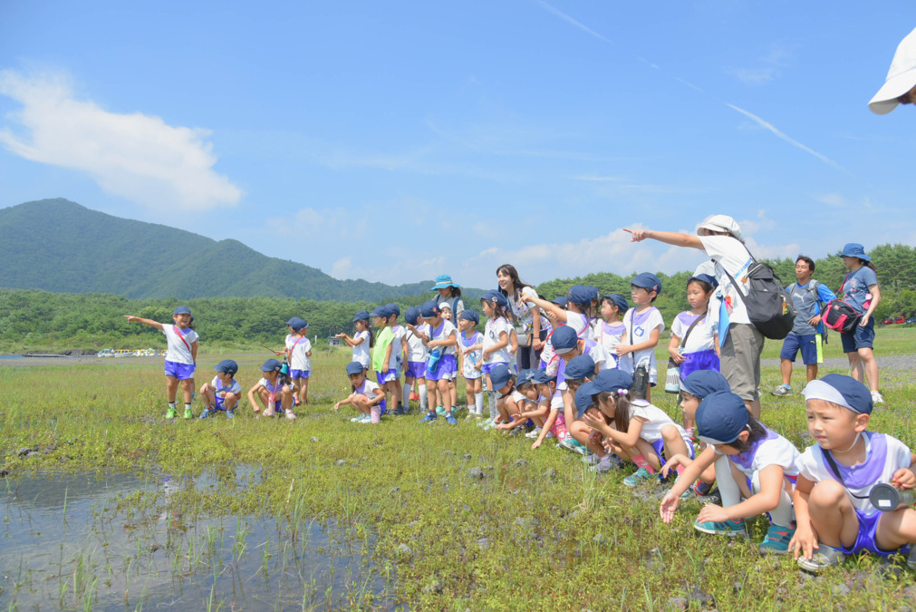 健爽学園ゆりかご幼稚園の写真19枚目：