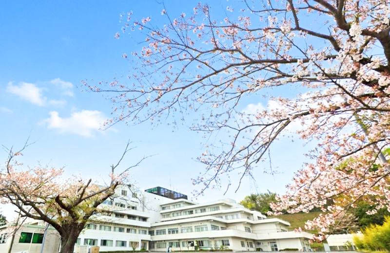 ミルキーホーム　湘南大磯病院内　バンビの山保育園の写真