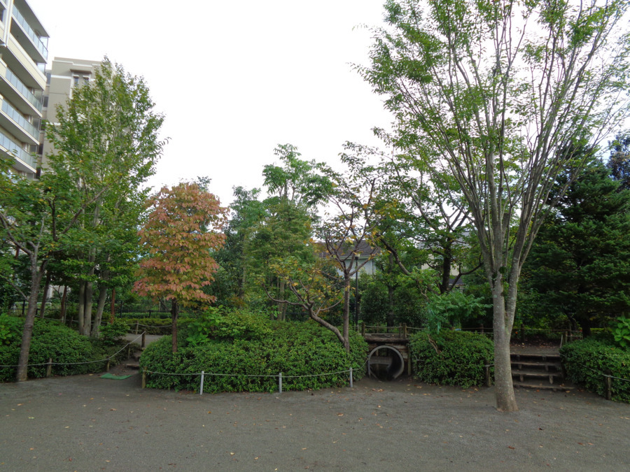 みなみ野さゆり学園の写真2枚目：