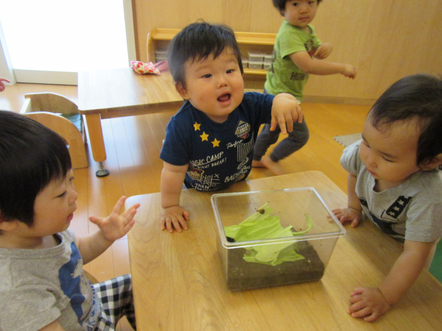 へいわオリーブ保育室（保育士の求人）の写真5枚目：