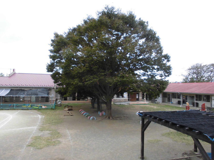 ブレーメン実花こども園（調理師/調理スタッフの求人）の写真4枚目：
