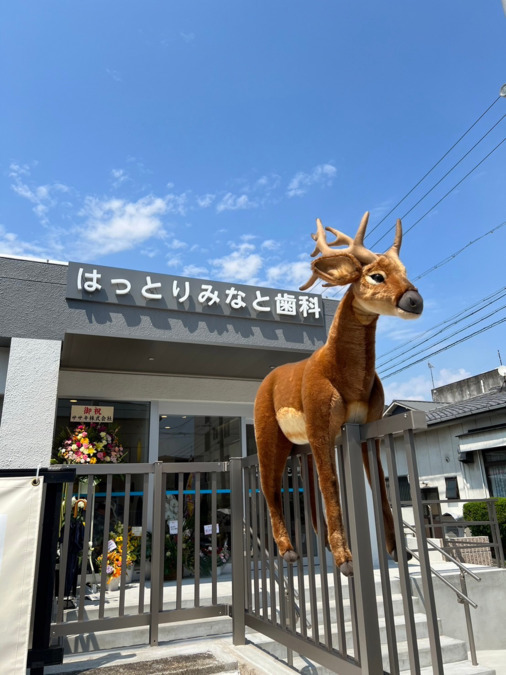 はっとりみなと歯科（歯科衛生士の求人）の写真：