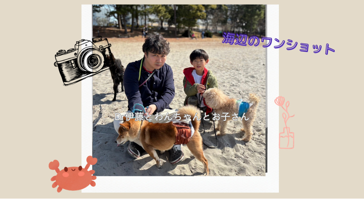 アール歯科クリニック　新井宿（歯科医師の求人）の写真2枚目：