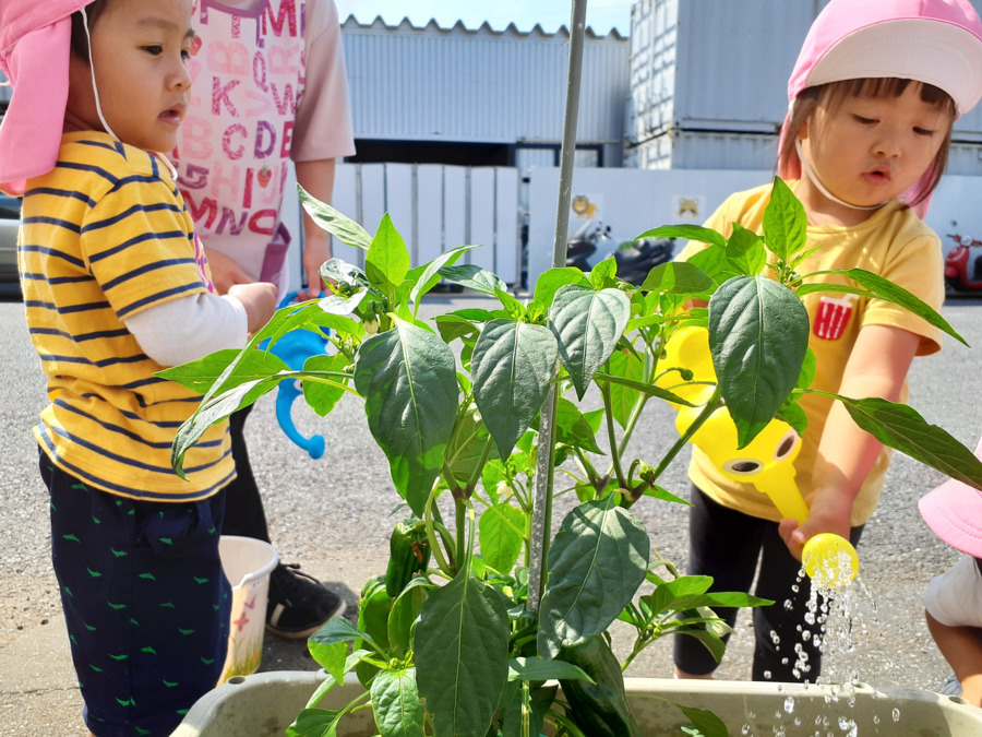しおどめ保育園小規模認可の写真8枚目：