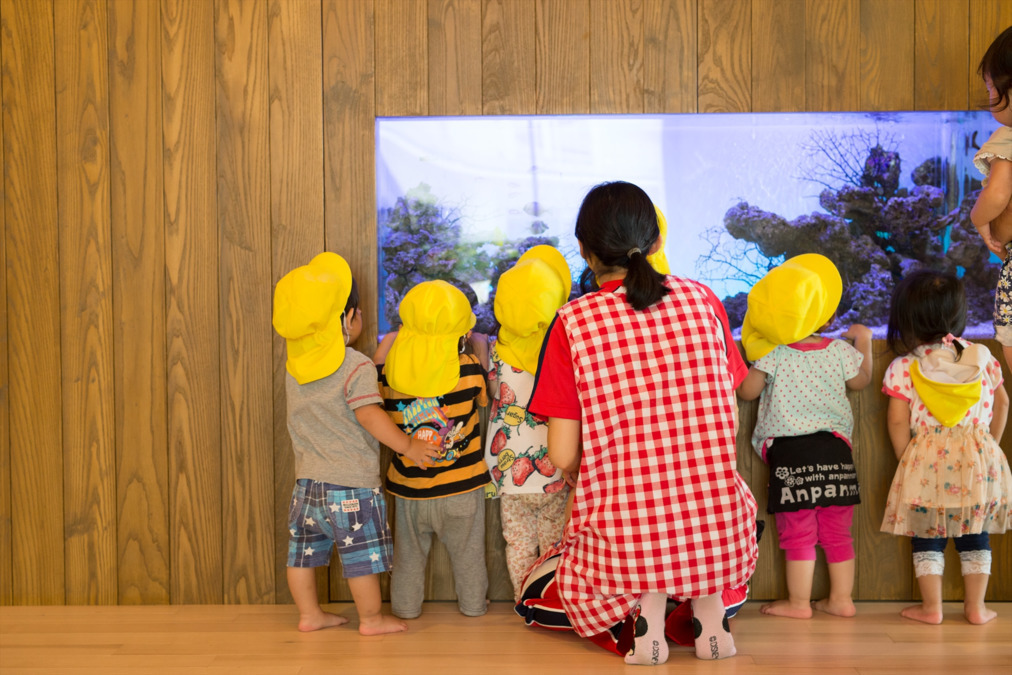 幼保連携型認定こども園　小浜こども園の写真7枚目：