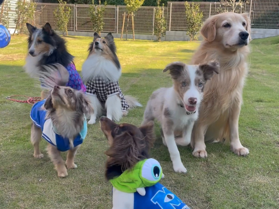 特別養護老人ホーム　横浜旭いこいの里の写真