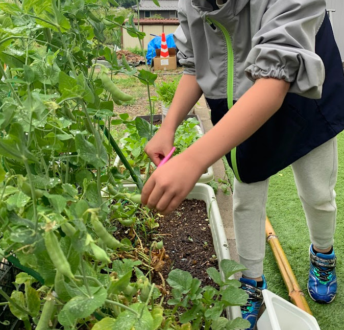 ココトモワークスジュニア犬山五郎丸校(保育士の求人)の写真4枚目: