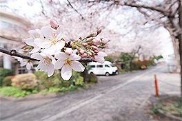 介護老人保健施設成和ナーシングプラザの写真1枚目：