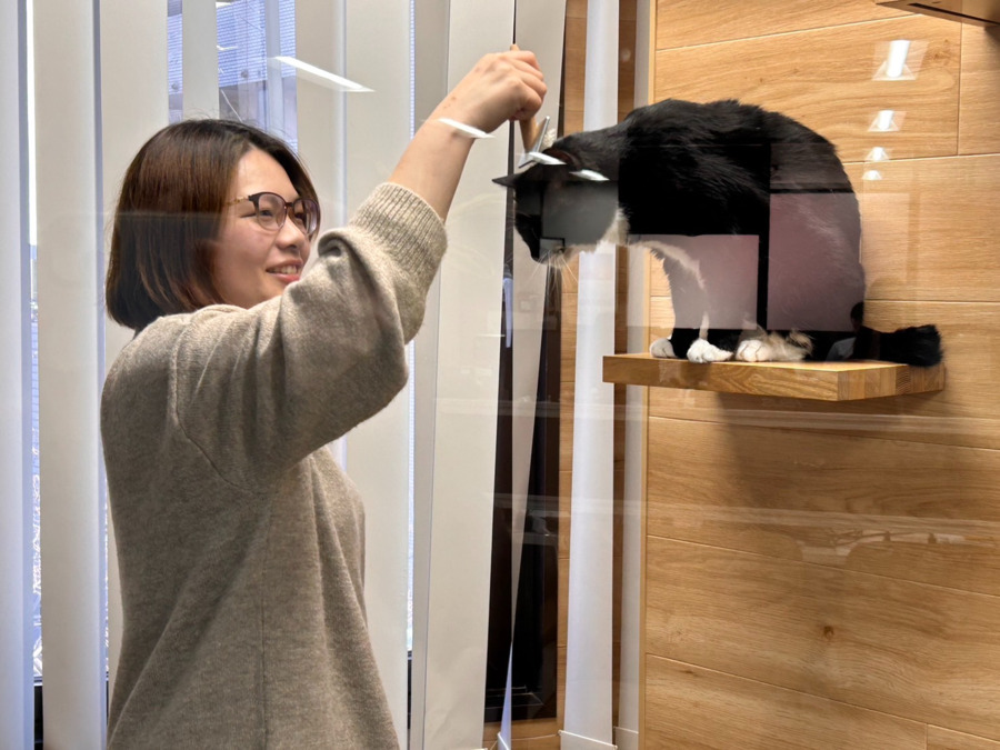 株式会社アニスピホールディングス(医療事務/受付の求人)の写真5枚目: