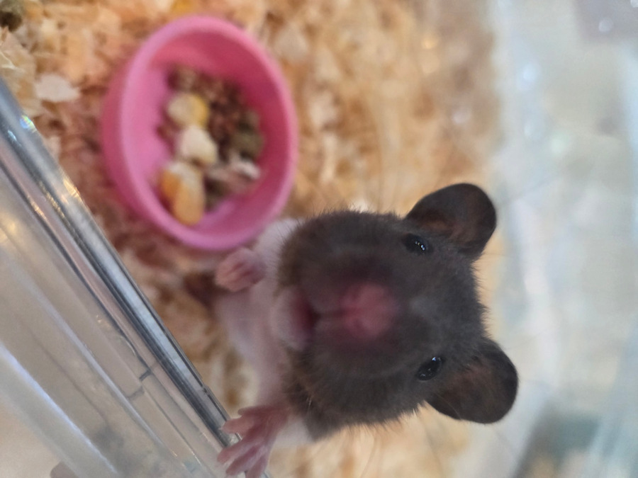 AQUA LAND(サービス管理責任者の求人)の写真5枚目: