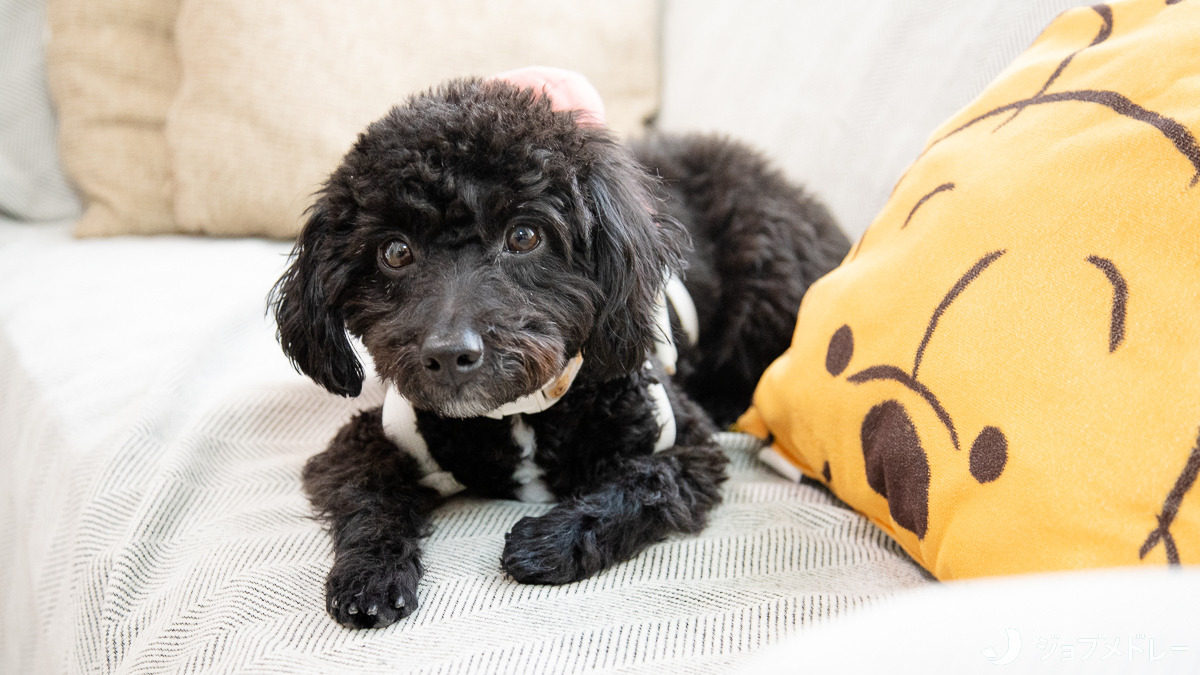 訪問看護ステーションあいおーるの写真13枚目:「人として寄り添う」看護を大切にしています!