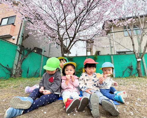 さくらんぼ幼児園(保育士の求人)の写真2枚目: