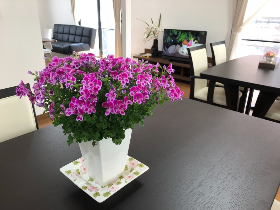 デイサービスひゃっけんび苦楽園(看護師/准看護師の求人)の写真4枚目: