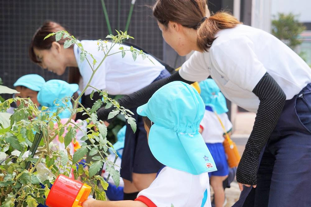 蓮美幼児学園みなとまちナーサリーの写真3枚目：