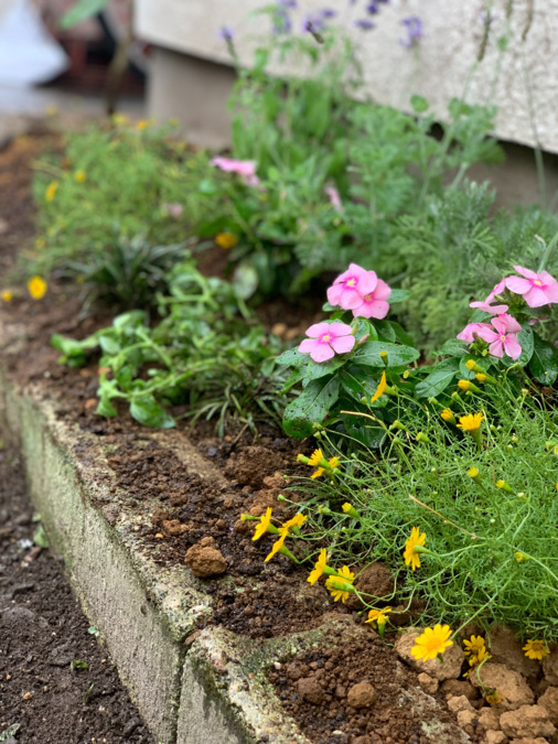 なないろ保育園(保育士の求人)の写真18枚目: