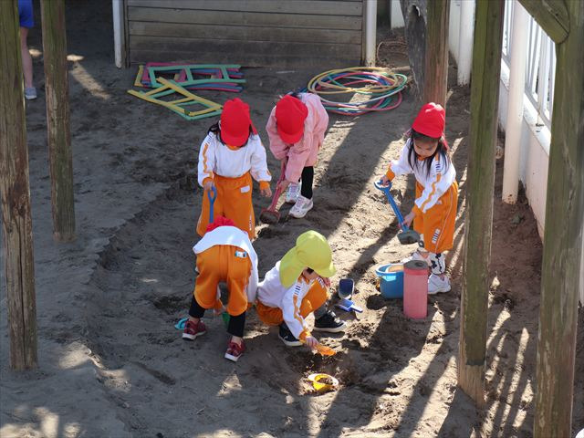 柏こばと学園(保育士の求人)の写真4枚目: