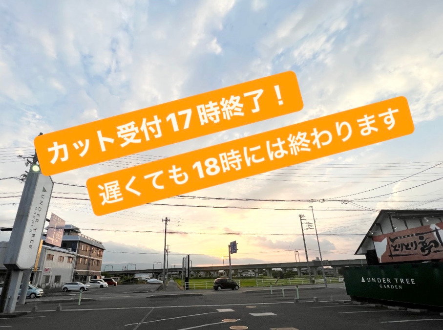 UNDER TREE GARDEN（美容師の求人）の写真6枚目：