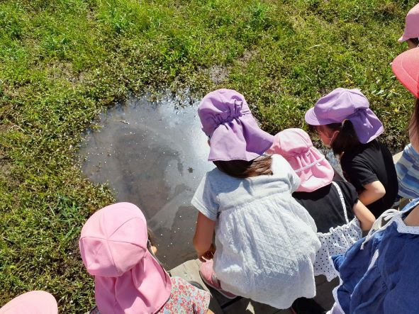 ふれあいしおどめ保育園の写真7枚目：