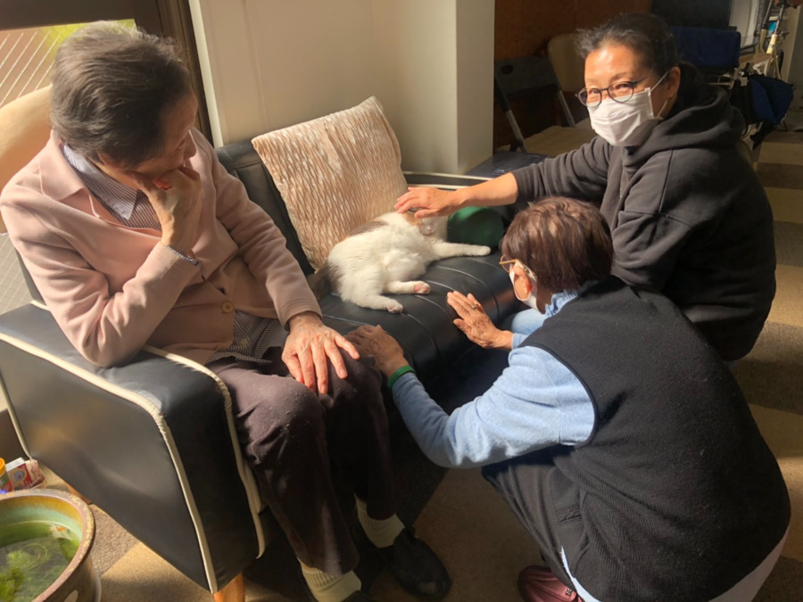 猫のいる家の写真7枚目：