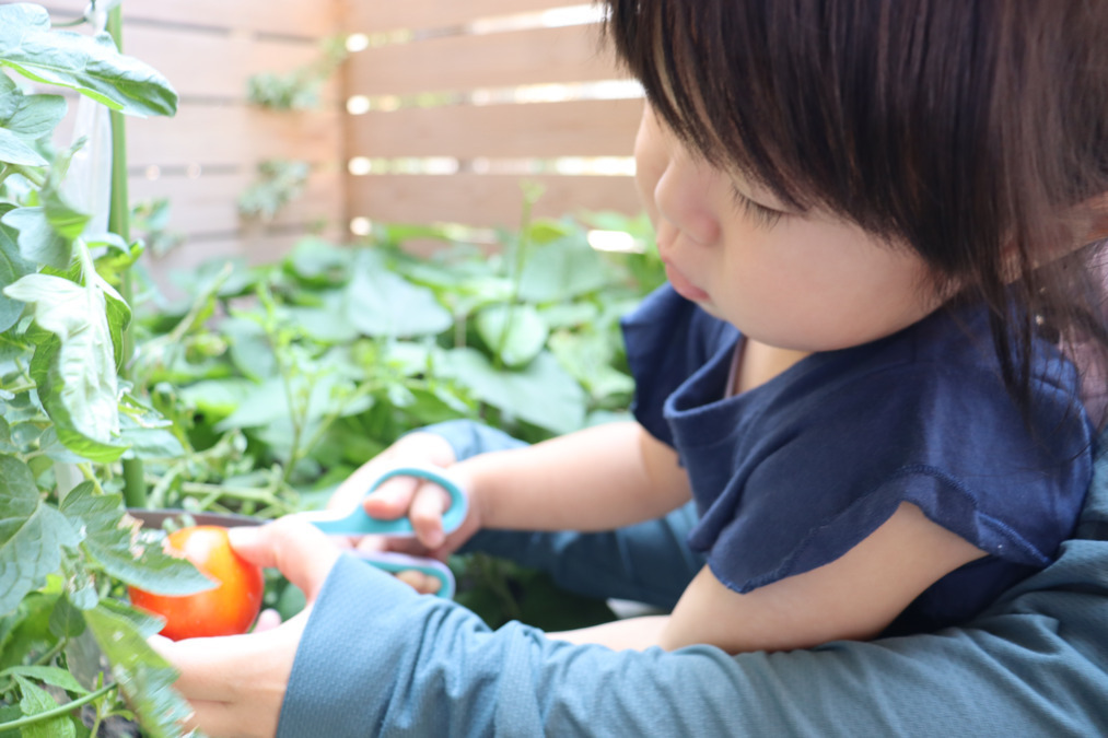 まんま保育園（保育士の求人）の写真2枚目：