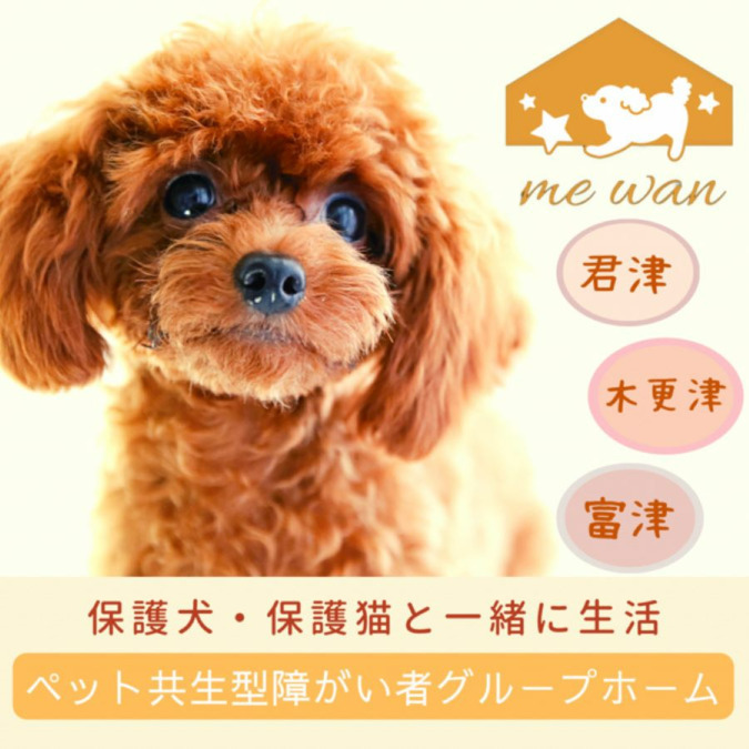ペット共生型障がい者グループホーム　me wan 木更津（生活支援員の求人）の写真4枚目：