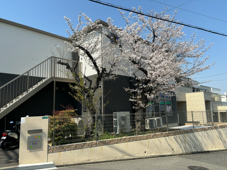 えーゆーアークの写真4枚目：