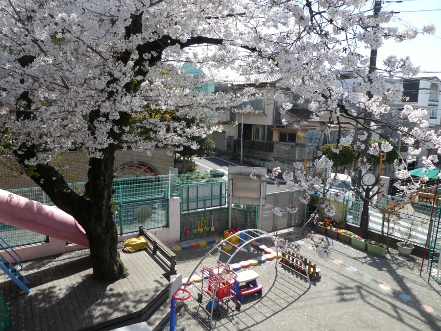 志のぶ幼稚園（幼稚園教諭の求人）の写真2枚目：