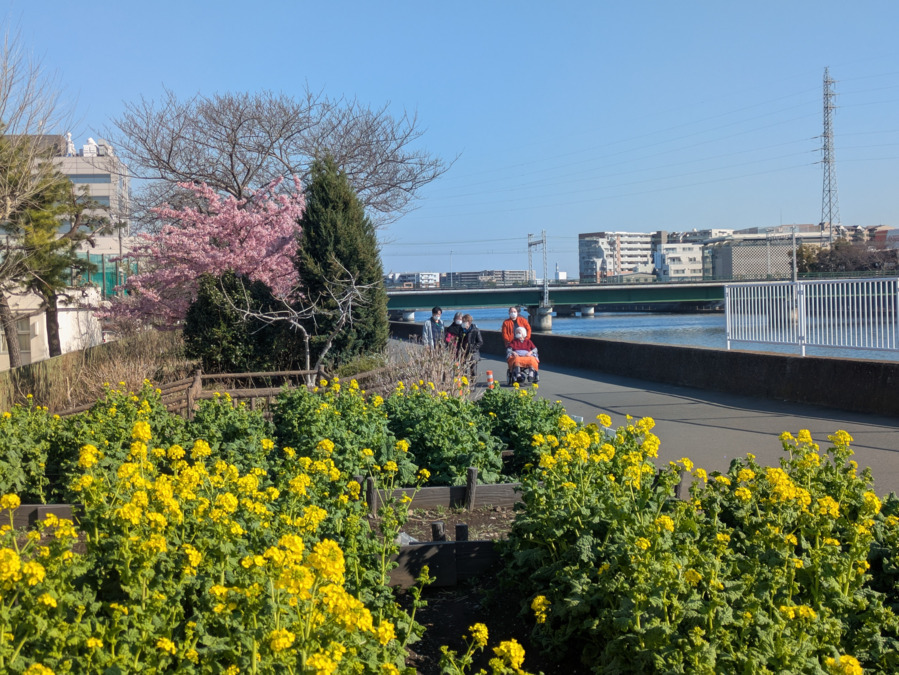 リハスマイルホーム鶴見市場の写真